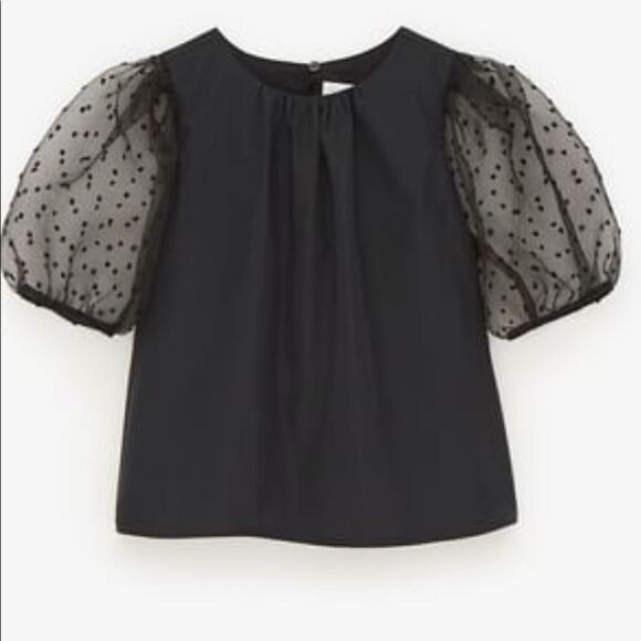 🎉Last deal🎉Last one Left 🎉Zara elegant top - Picture 1 of 7